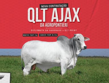 NOVA CONTRATAÇÃO | QLT AJAX DA AGROPONTIERI
