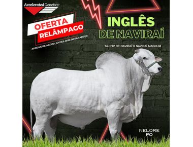 OFERTA RELÂMPAGO 27