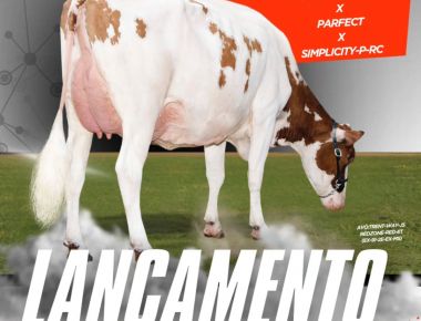 014HO17550 Ragnar red