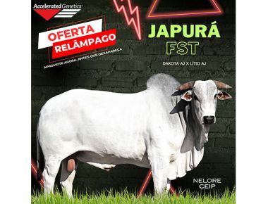 OFERTA RELÂMPAGO 28