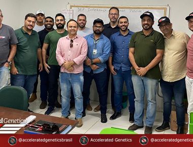 Treinamento Técnico Comercial - Garanhuns-PE