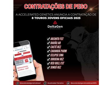 Touros Jovens Oficiais DeltaGen 2025 - Accelerated Genetics