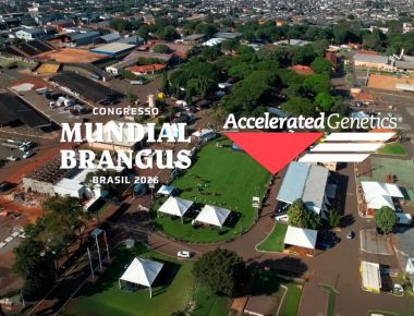 Congresso Mundial do Brangus  2026