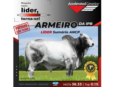 ARMEIRO DA IPB - Número 1 Sumário ANCP Agosto 2024