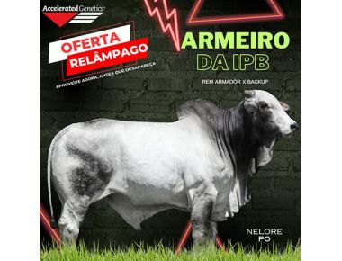 OFERTA RELÂMPAGO 24