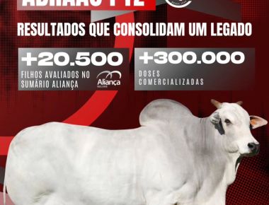 Abrãao PTZ segue ampliando sua influência na pecuária nacional!