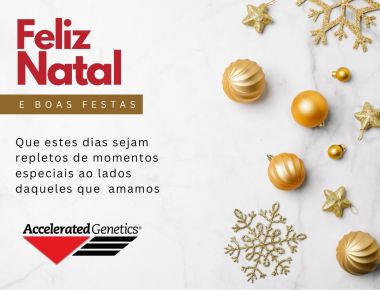 FELIZ NATAL