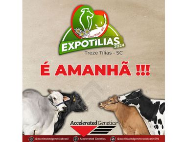 Amanhã começa a Expotílias 2024