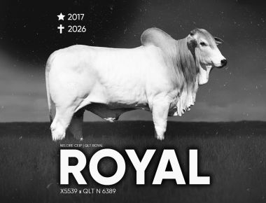 A ACCELERATED GENETICS SE DESPEDE DE QLT ROYAL