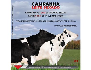 Campanha Leite Sexado - Highlite e Try Me