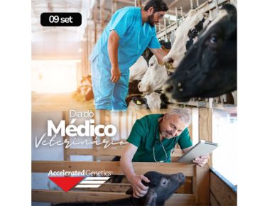 9 de Setembro - Dia do Médico Veterinário