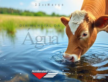 22 de Março - Dia Mundial da Água