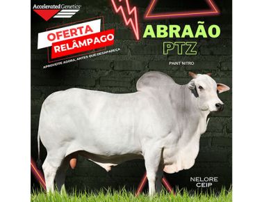 OFERTA RELÂMPAGO 22