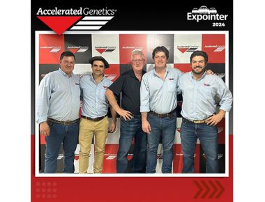 MOMENTOS EXPOINTER 2024