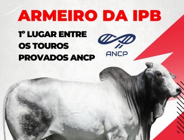 Armeiro da IPB