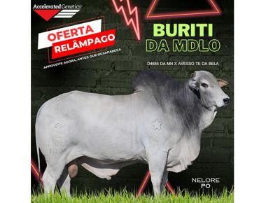 OFERTA RELÂMPAGO 25