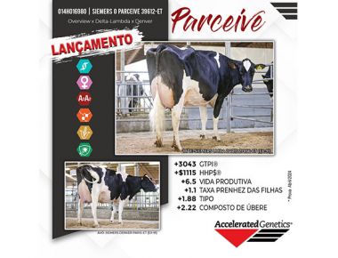 Lançamento Holandês -  014HO16980 - PARCEIVE
