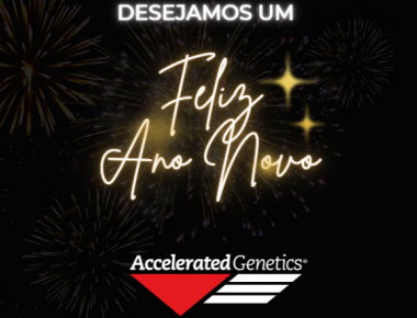 FELIZ ANO NOVO!
