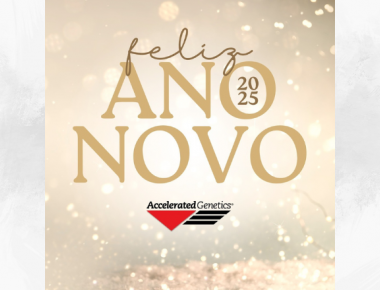FELIZ ANO NOVO