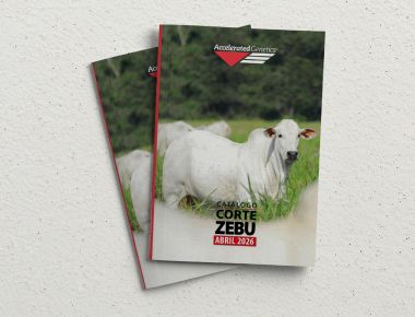 CATÁLOGO CORTE ZEBU – ABRIL 2026