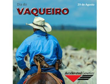 Dia do Vaqueiro - 29 de Agosto
