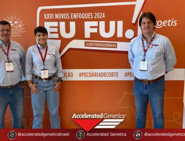 XXVI NOVOS ENFOQUES 2024