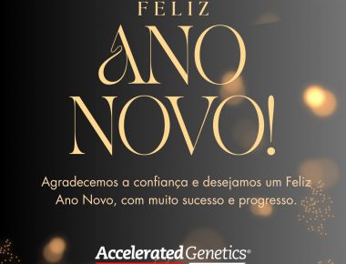 FELIZ ANO NOVO