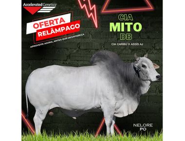 OFERTA RELÂMPAGO 30