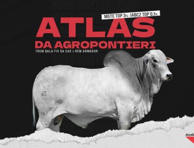 NOVA CONTRATAÇÃO | ATLAS DA AGROPONTIERI