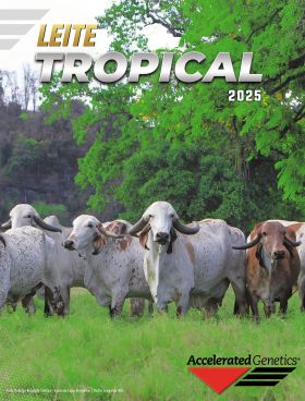 CATÁLOGO LEITE TROPICAL 2025