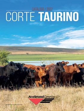 CATÁLOGO TAURINO 27