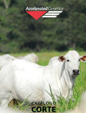 CATALOGO CORTE ZEBU - ATUALIZAÇÃO ABRIL 26